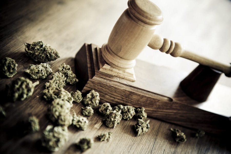 LAW Vermont Bill S.241