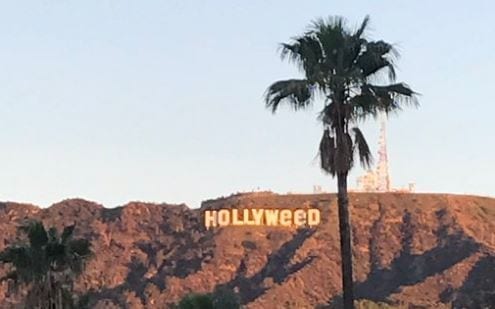 Hollyweed