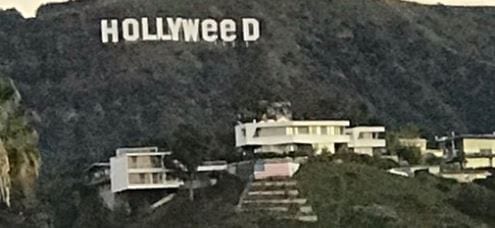 Hollyweed