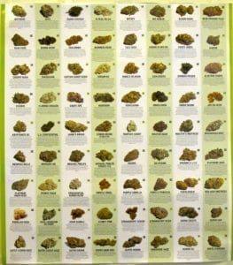 Marijuana Strain Chart