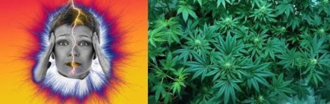 Marijuana And Migraines : How Conclusive Are Current Research Results? Marijuana And Migraines