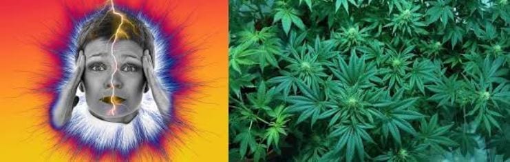 migraines3 Marijuana And Migraines
