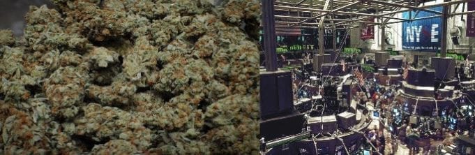 Marijuana Stocks In 2017 : Are They Grossly Overvalued? Marijuana Stocks