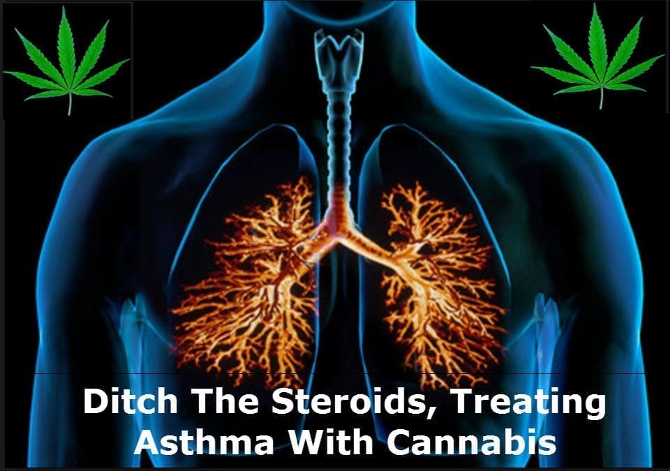 cannabis and asthma