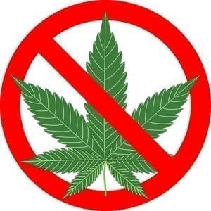 No weed in pro sports