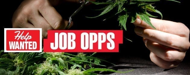 Marijuana Job Opportunities
