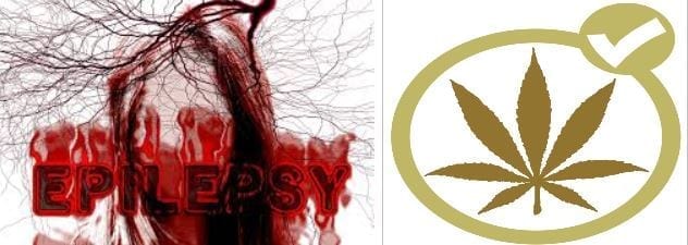 mjepilepsy2 Medical Marijuana For Seizures