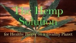 The Future Of Hemp