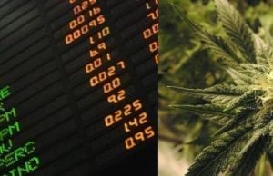 Investing In Marijuana Stocks