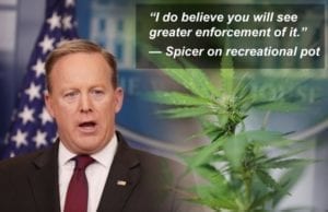 Sean Spicer