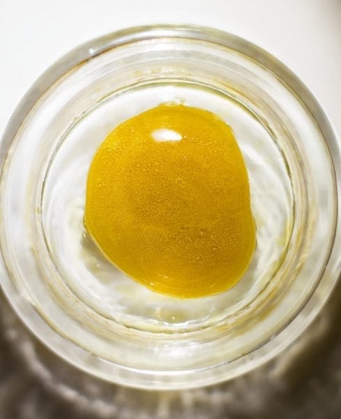 shatter concentrate shatter wax