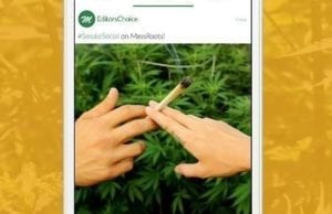 MassRoots Social Website