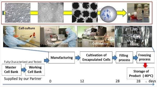 The Pharmacyte Biotech Cell Encapsulation Process