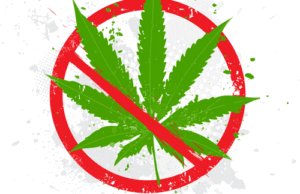 No weed was allowed at the Vegas Cannabis Cup