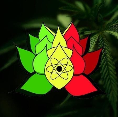 New Age Botanicals Logo Image