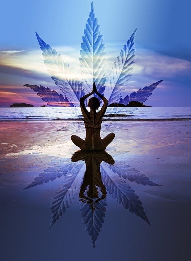 Enjoy some medicated yoga this 4/20 @ Venice Beach