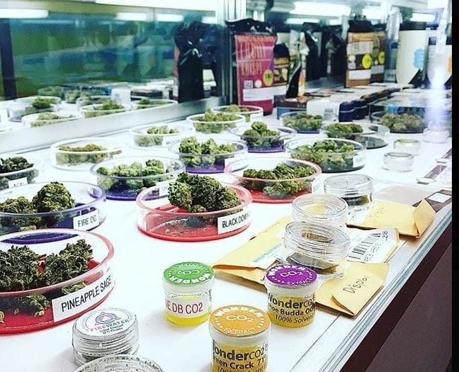 Inside The Santa Cruz Genetics Dispensary Display Case.