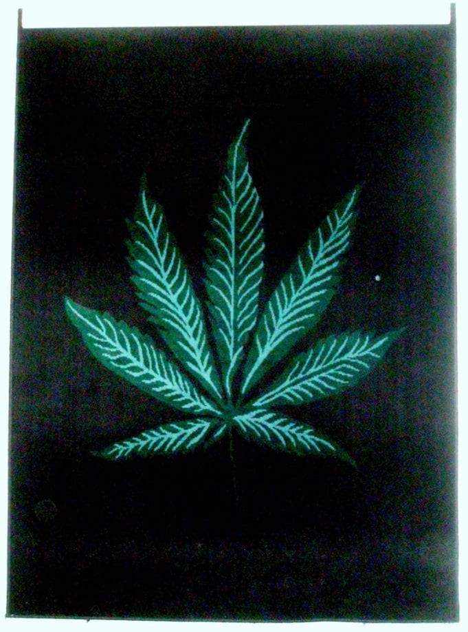 Novus Acquisition & Development Novus Development Corp