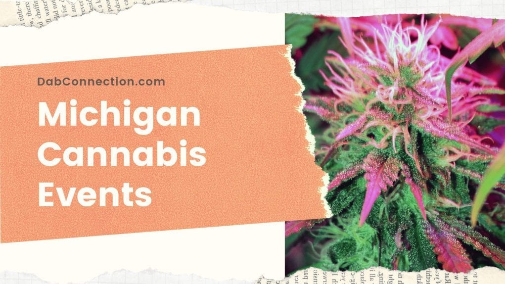 Michigan cannabis events Cannabis Events in Michigan