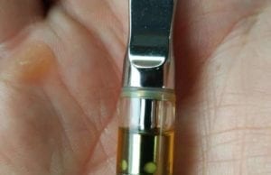 kabunky cartridge review