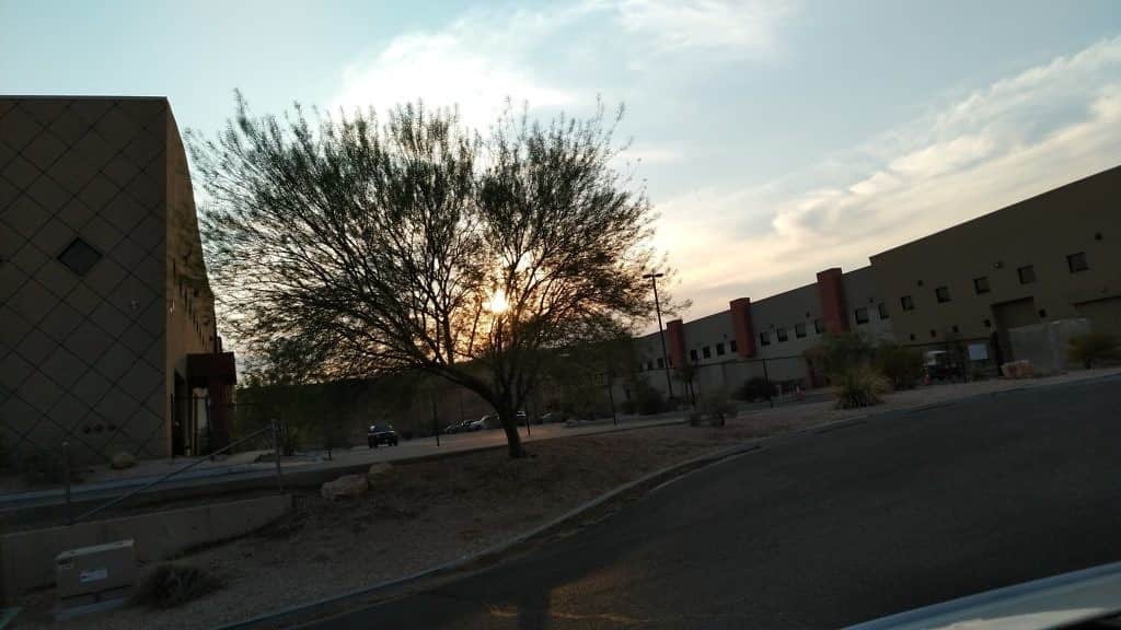 deep roots harvest mesquite nevada