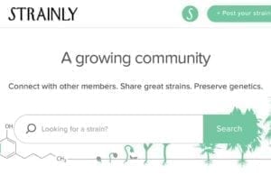 Connect and exchange personal experience with Strainly