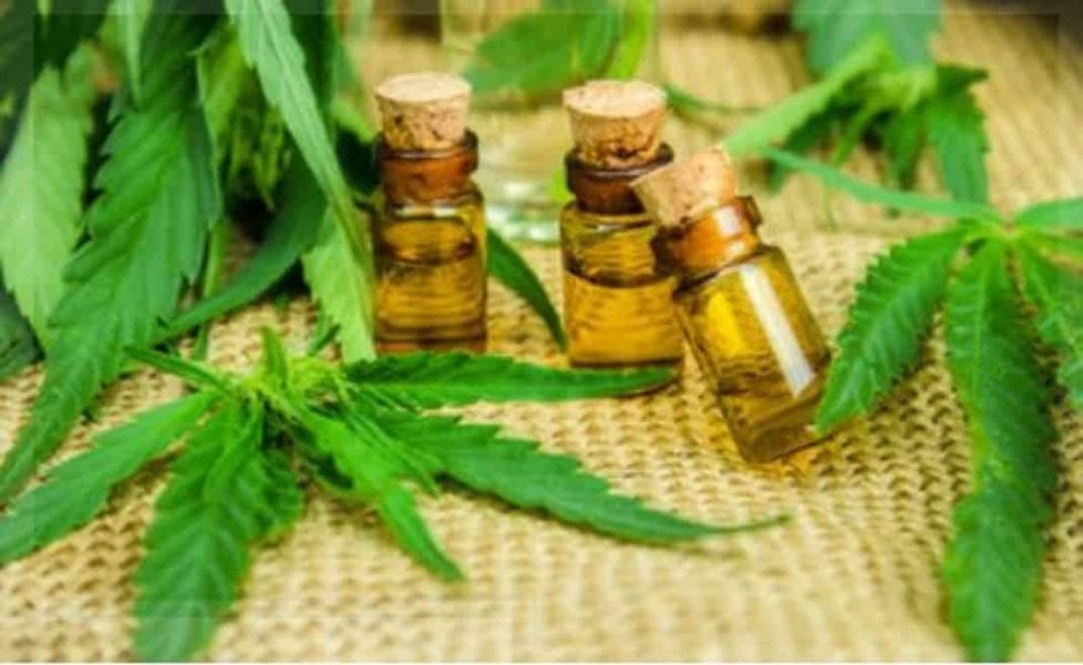 canna oil