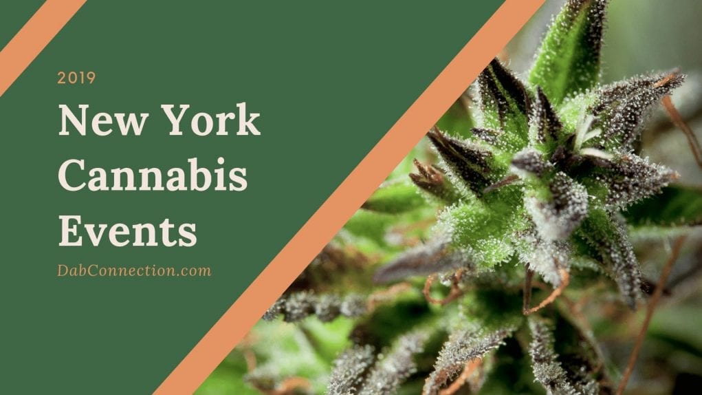New York Cannabis Events
