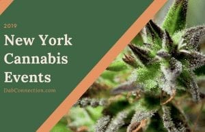 New York Cannabis Events