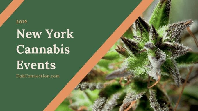 New York Cannabis Events