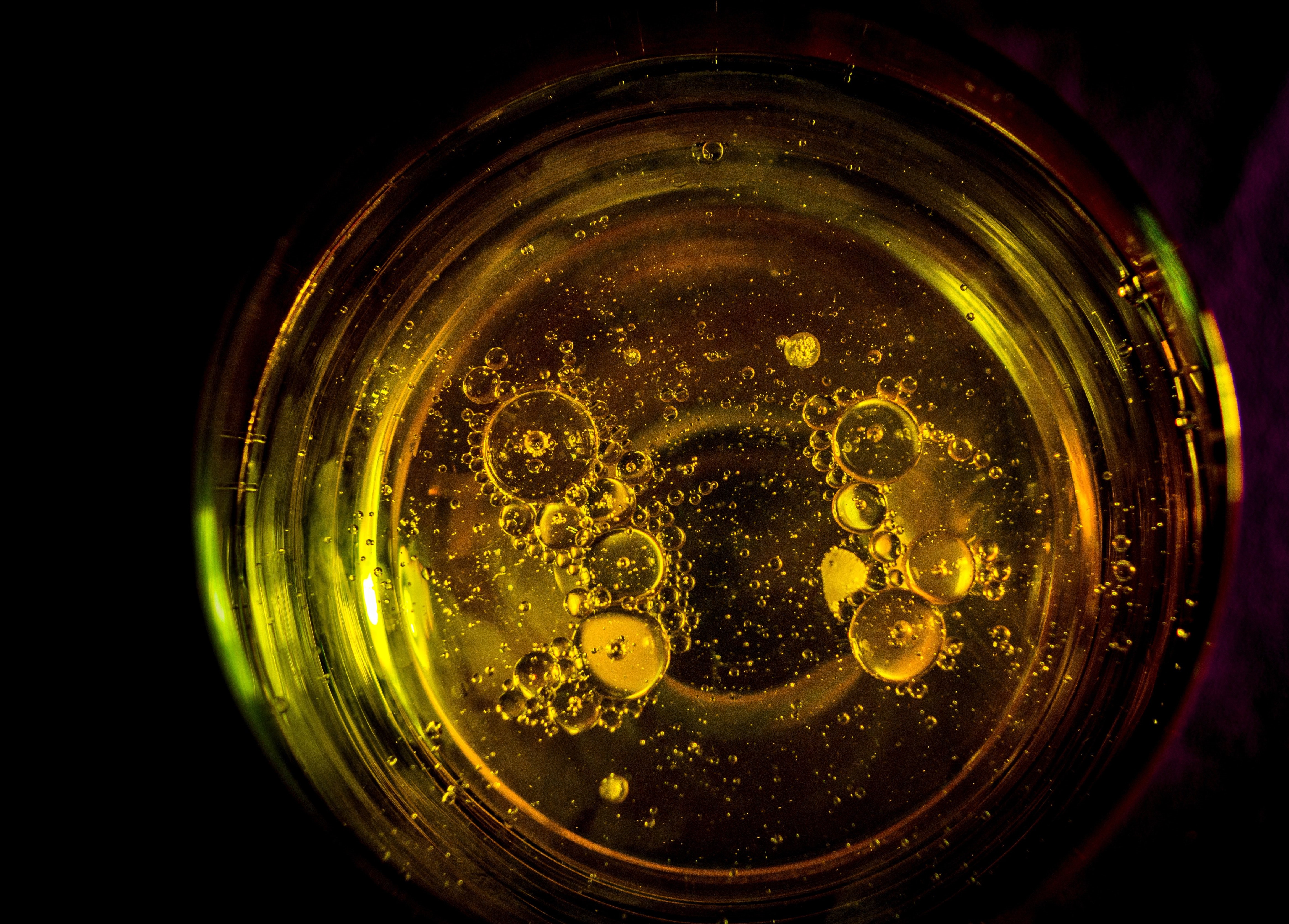 SHO solventless hash oil