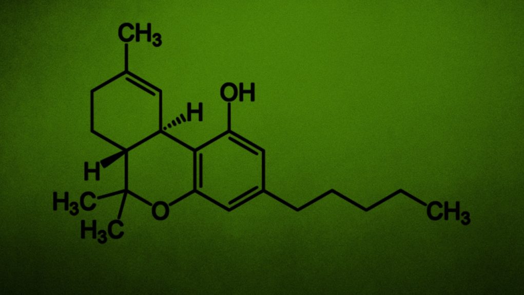 THC_molecule THC_molecule