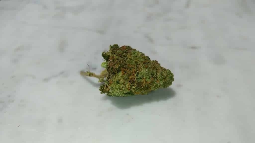 polaris mmj head cheese