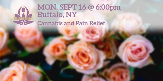 new york marijuana events