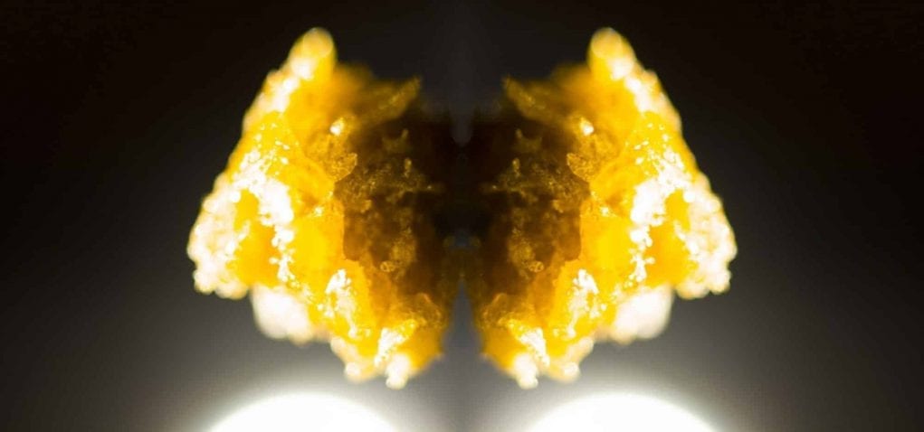 wax-featured wax cannabis