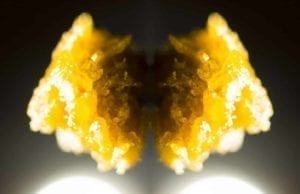 wax cannabis