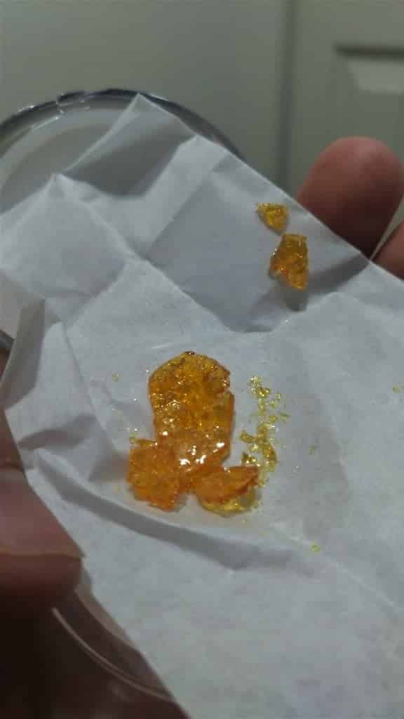 cannavative shatter