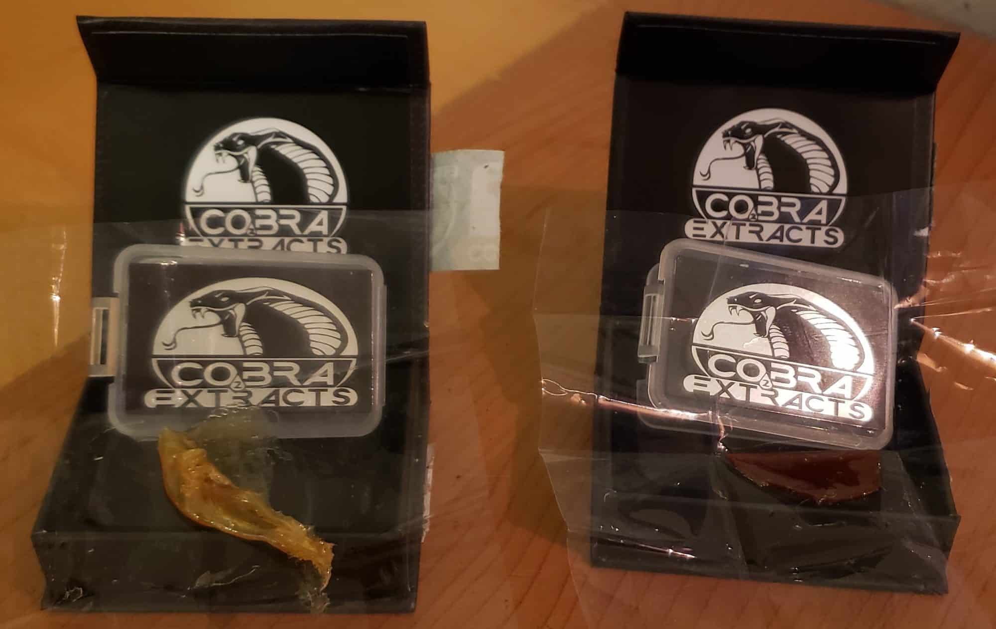 Cobra Extracts Shatter Quality