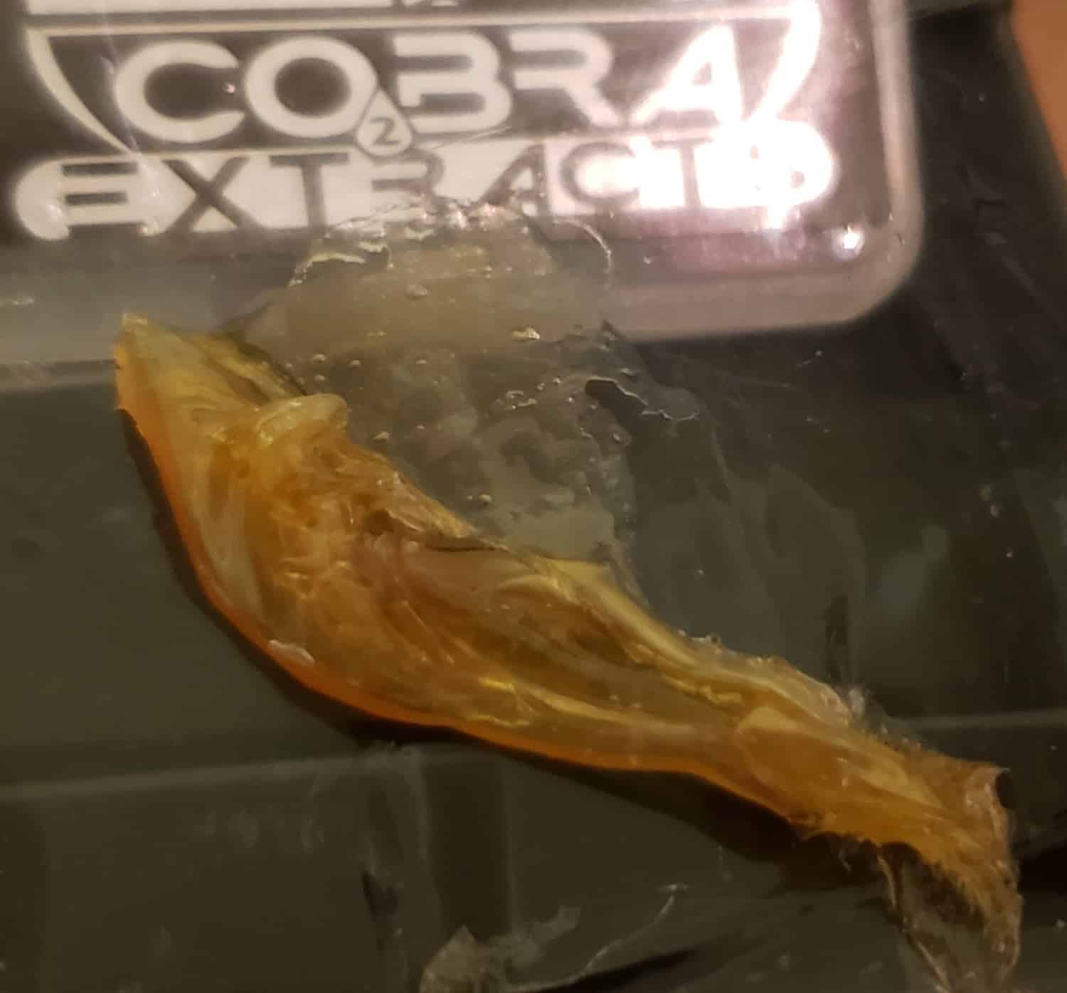 Cobra Extracts Mimosa Shatter