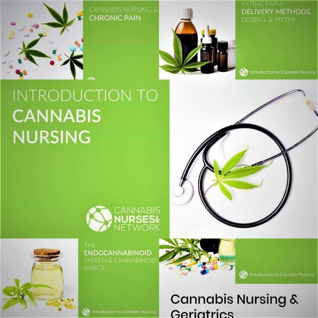 cannabis nurses network san diego