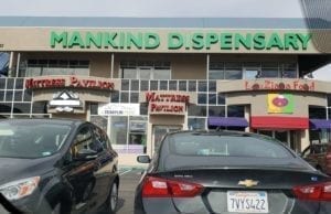 Mankind Dispensary review