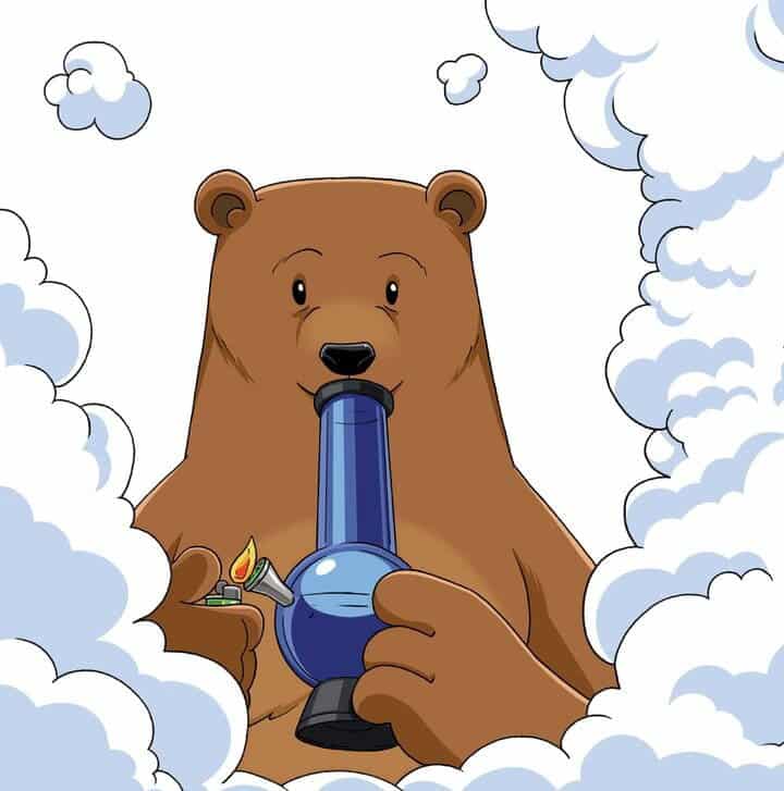 If You Give A Bear A Bong weed cannabis book