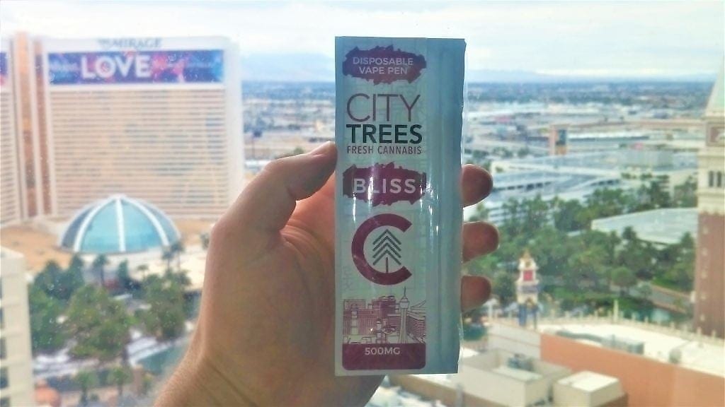 city trees bliss