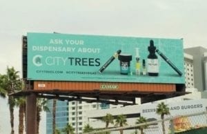 city trees vape review