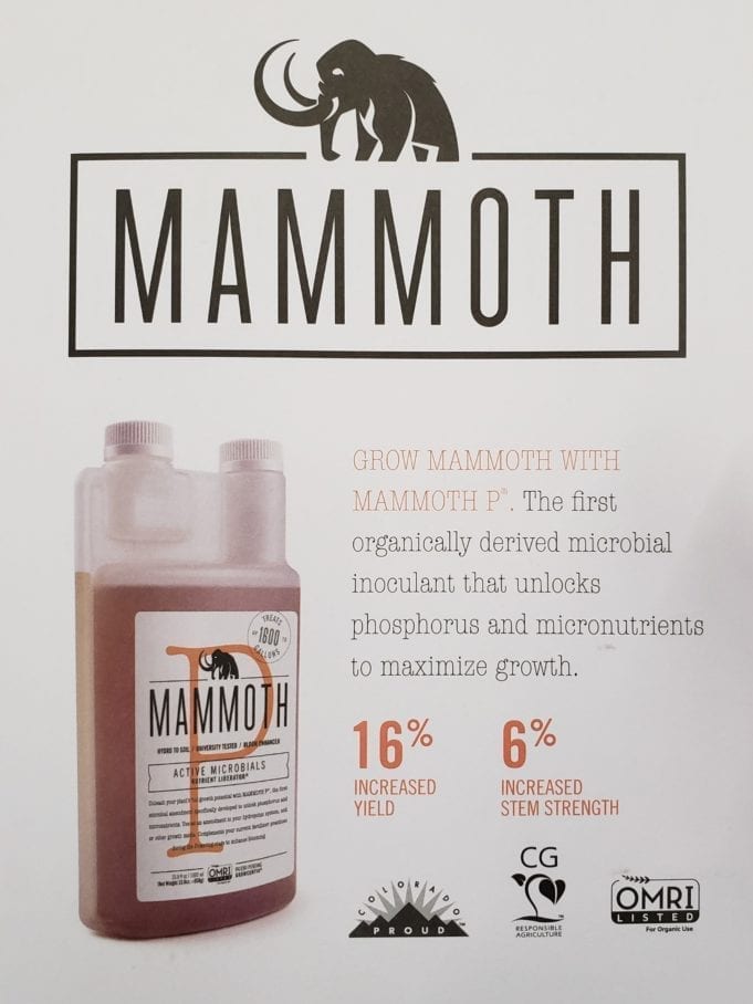 Mammoth Microbes: Inoculates Proven to Increase Plant Growth Mammoth Mammoth P Business Review