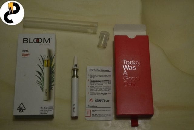 bloom one review
