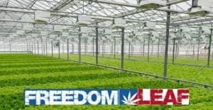 Freedom Leaf Cleam Health hemp cbd