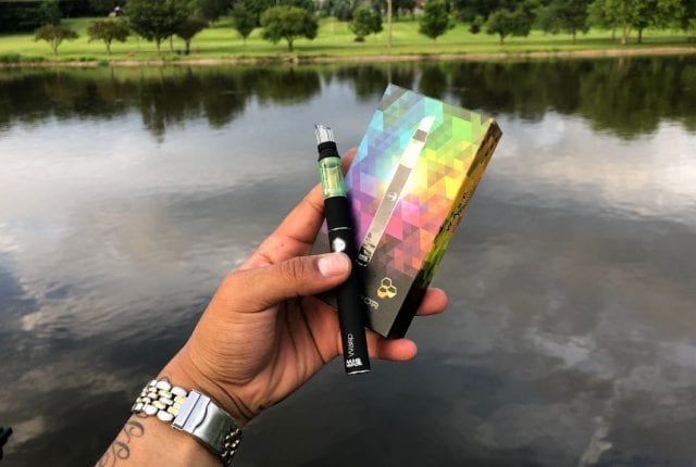 mig vapor wasp review