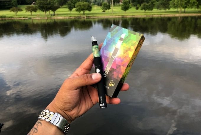 mig vapor wasp review