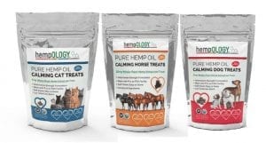 CBD Products for Pets